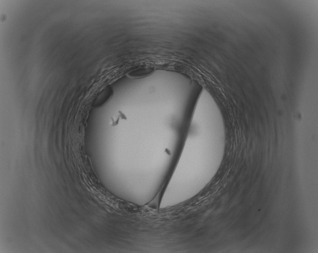 X0000084520961200703091558