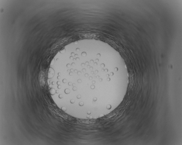 X0000084520962200703091558