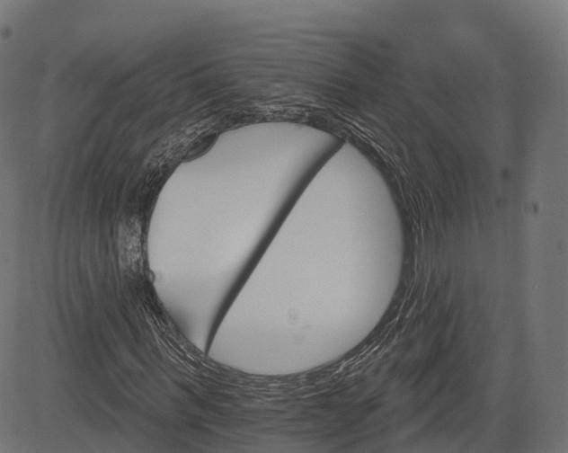 X0000084520963200703091558