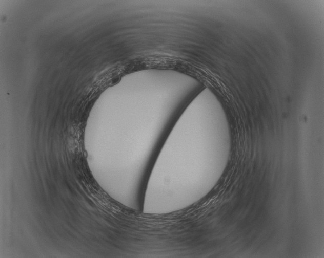 X0000084520964200703091558