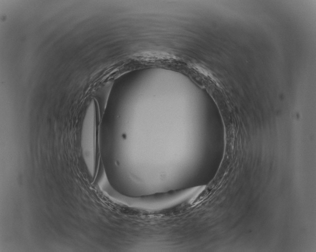 X0000084520965200703091558