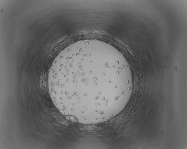 X0000084520966200703091558