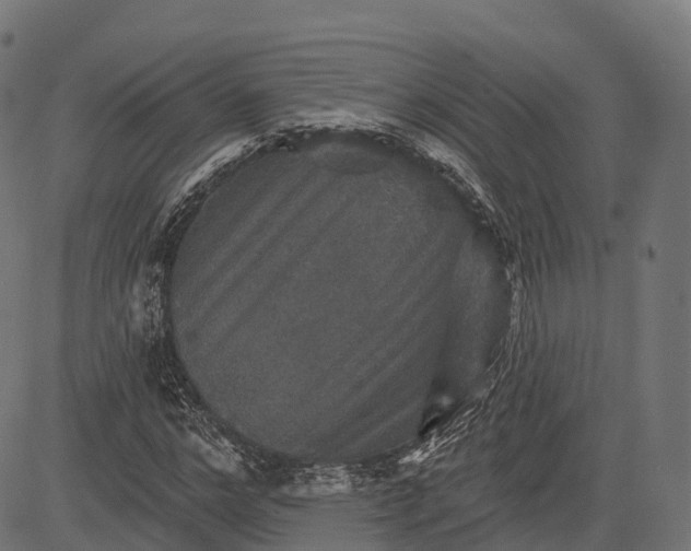 X0000084520968200703091558