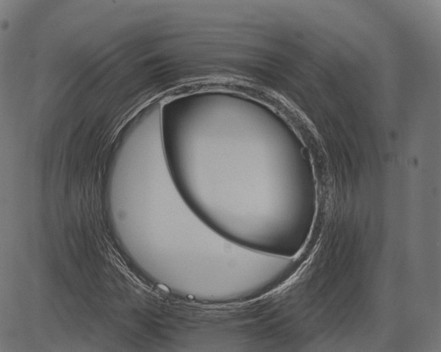 X0000084520969200703091558