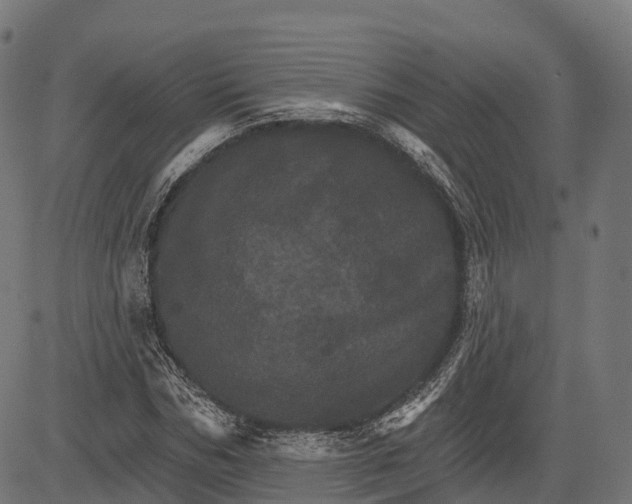 X0000084520970200703091558