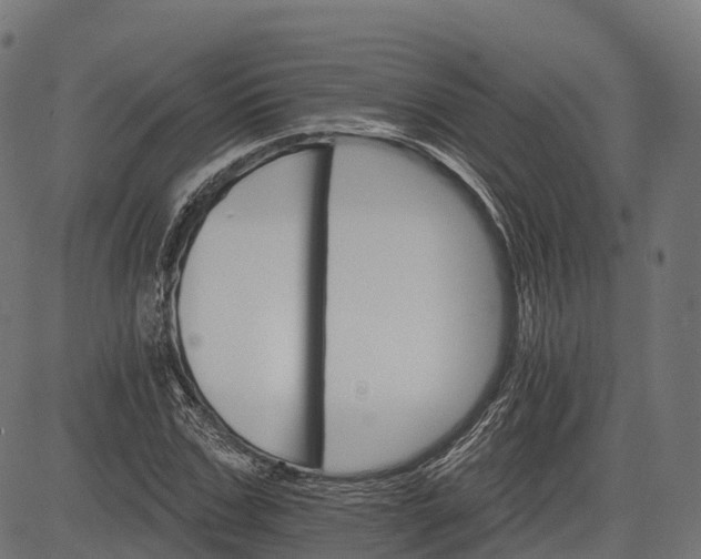 X0000084520971200703091557