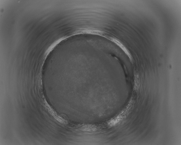 X0000084520972200703091557