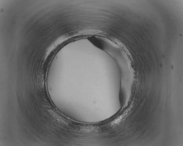 X0000084520973200703091557