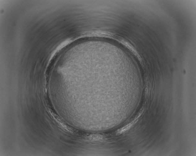 X0000084520974200703091557