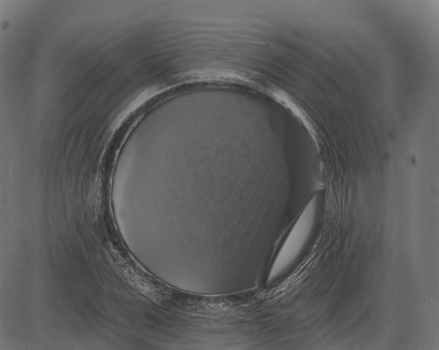 X0000084520975200703091557