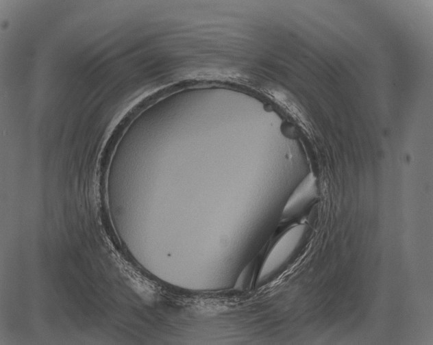 X0000084520976200703091557