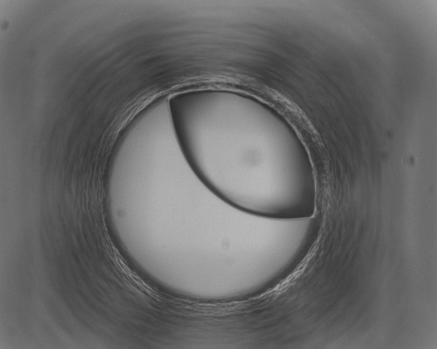 X0000084520977200703091557