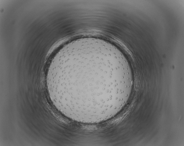 X0000084520978200703091557