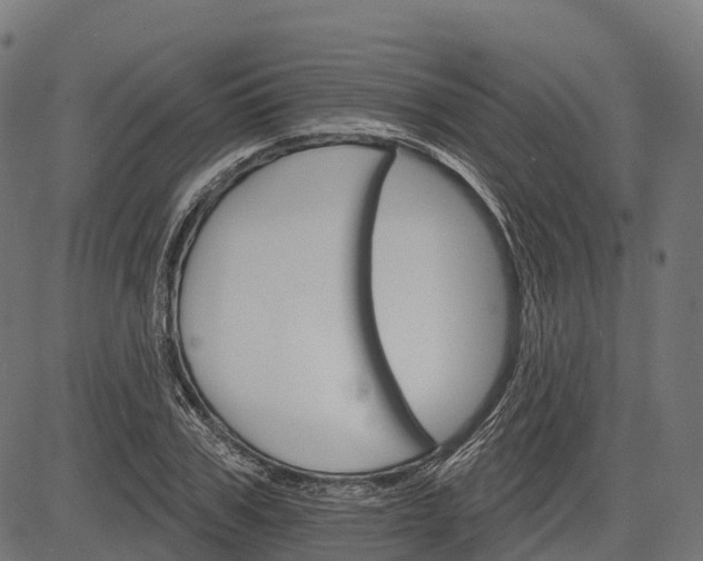 X0000084520979200703091557