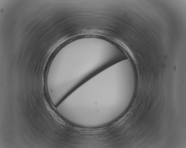 X0000084520980200703091557