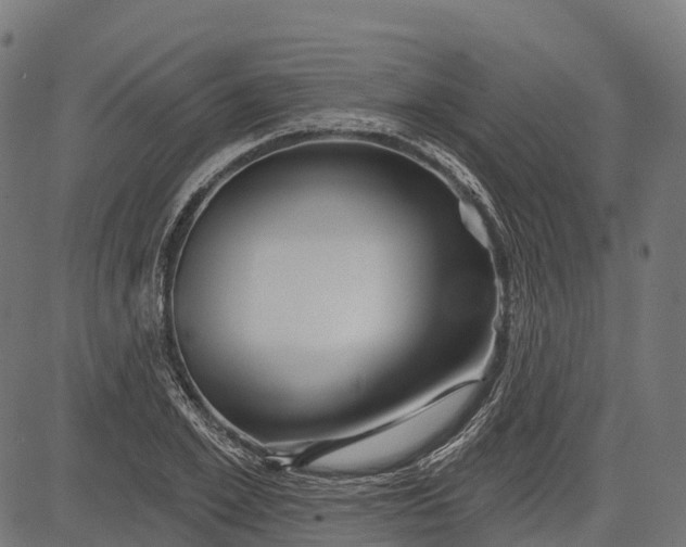 X0000084520981200703091557