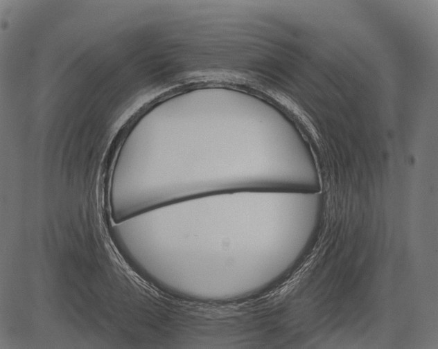 X0000084520983200703091557