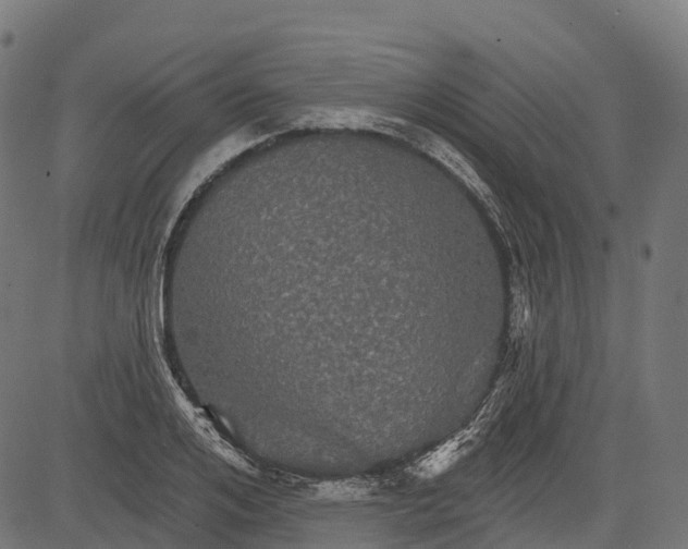 X0000084520984200703091557