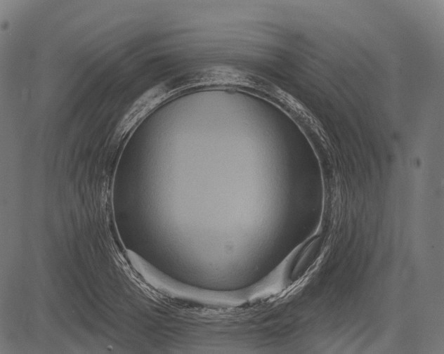 X0000084520985200703091557