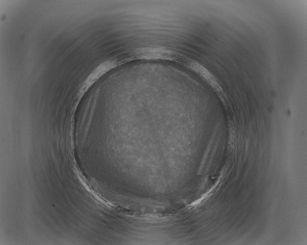 X0000084520986200703091557