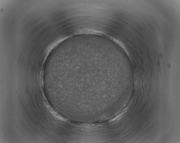 X0000084520987200703091557