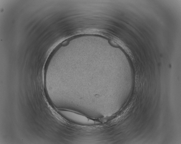 X0000084520988200703091557