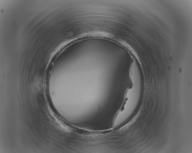 X0000084520989200703091557