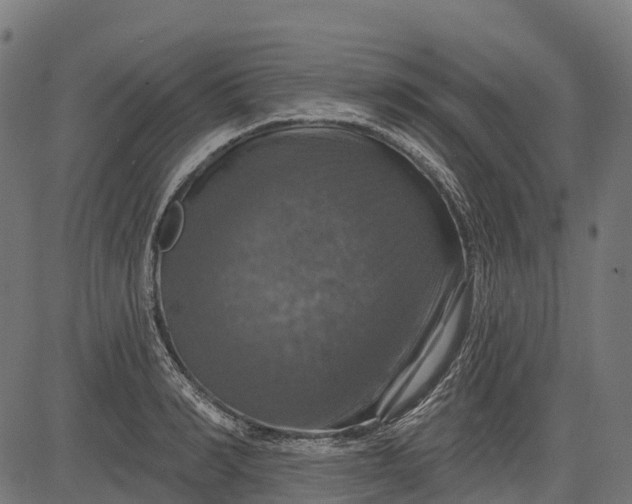 X0000084520990200703091557