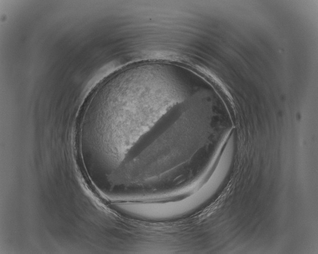 X0000084520991200703091557