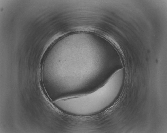 X0000084520992200703091557