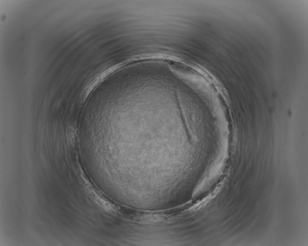 X0000084520993200703091557