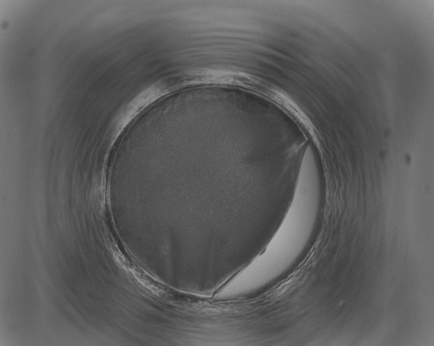 X0000084520994200703091557