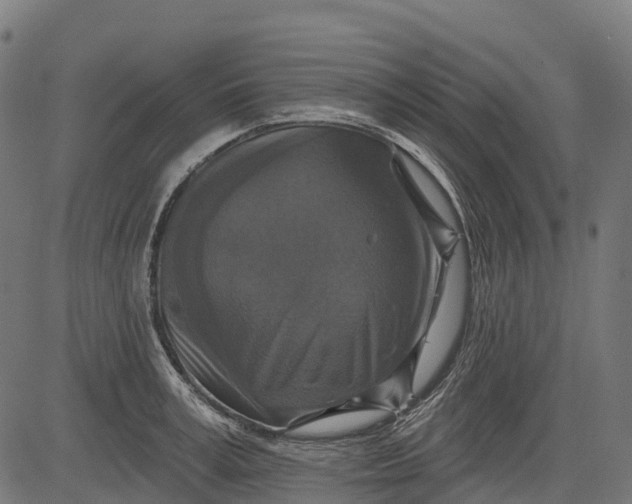 X0000084520995200703091557