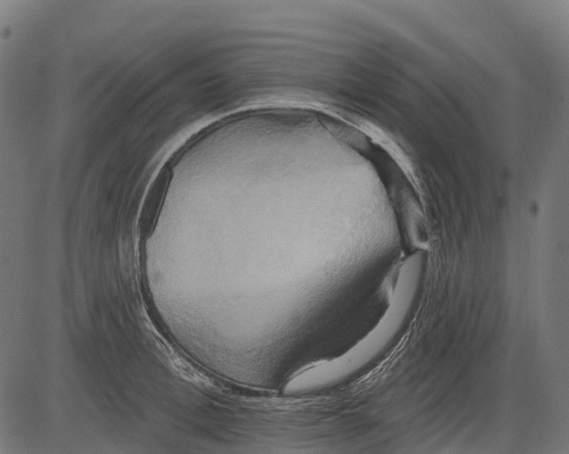 X0000084520996200703091557