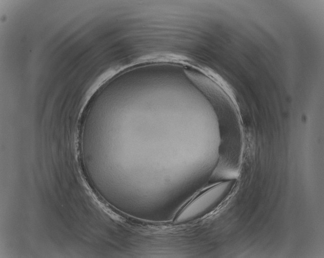 X0000084520997200703091557