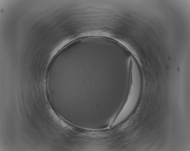 X0000084520998200703091557