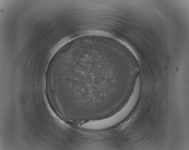 X0000084520999200703091557