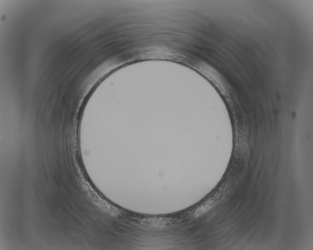 X0000084521000200703091557