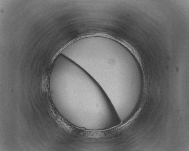 X0000084521001200703091557