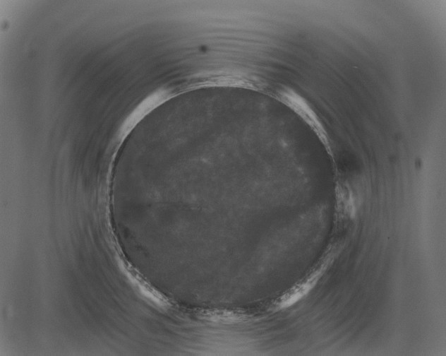 X0000084521002200703091557