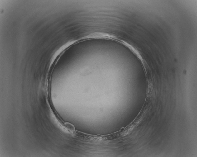 X0000084521003200703091557