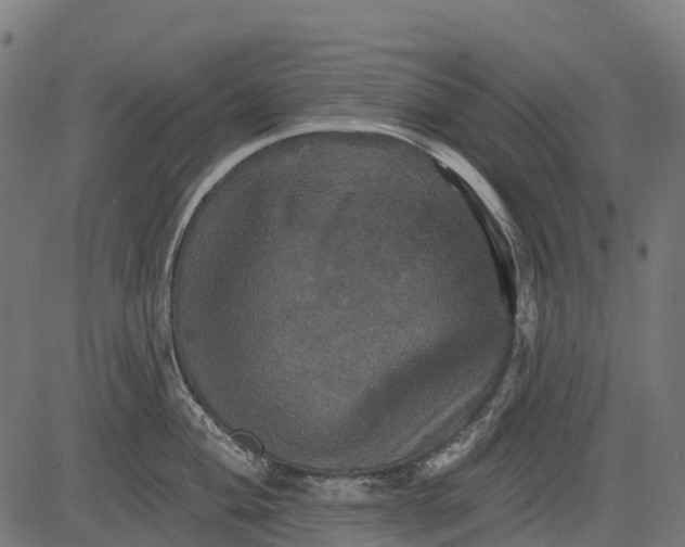 X0000084521004200703091557