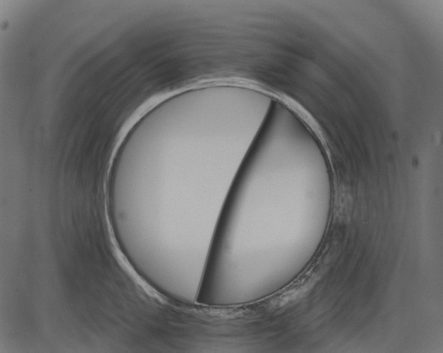 X0000084521005200703091557