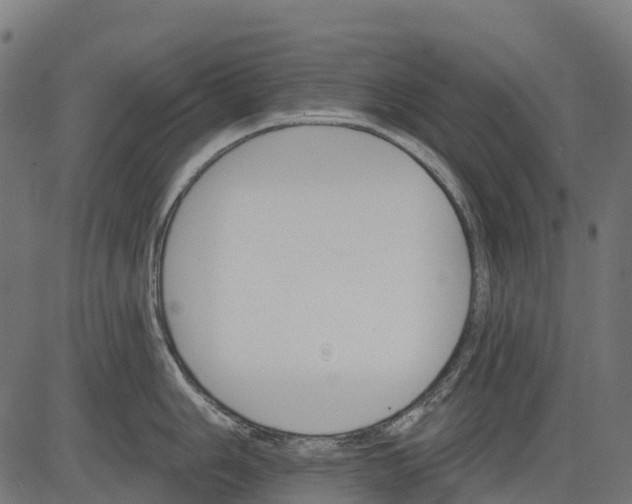 X0000084521006200703091557