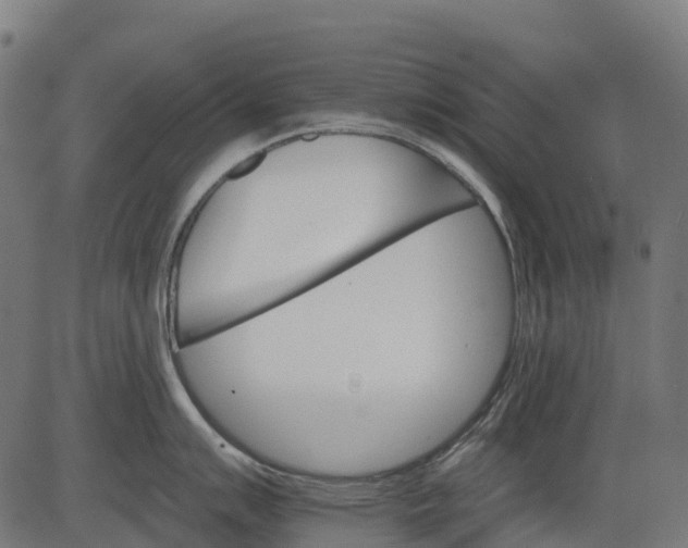 X0000084521007200703091557