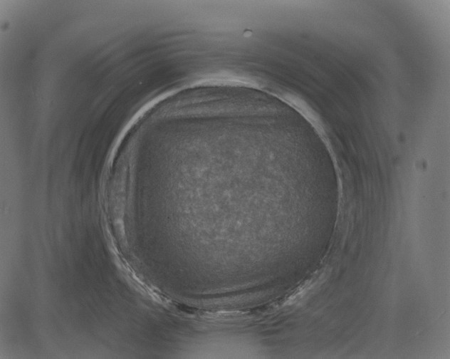 X0000084521008200703091557