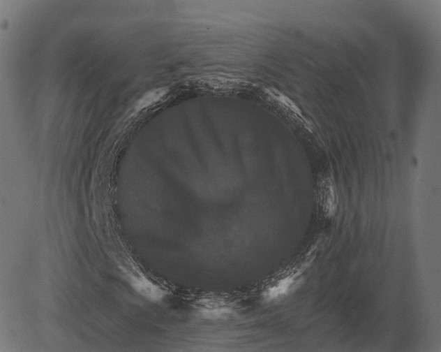 X0000084521009200703091556