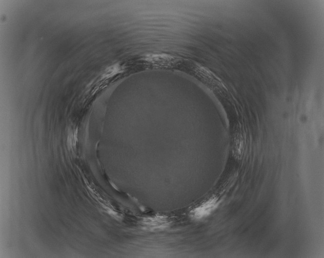 X0000084521010200703091556