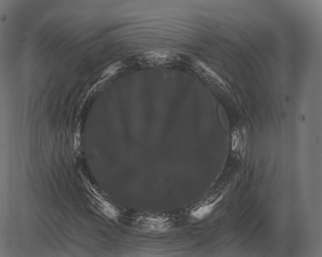 X0000084521011200703091556