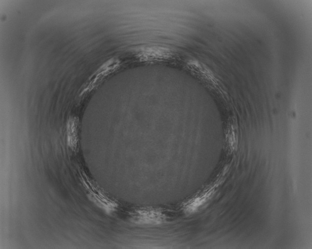 X0000084521012200703091556